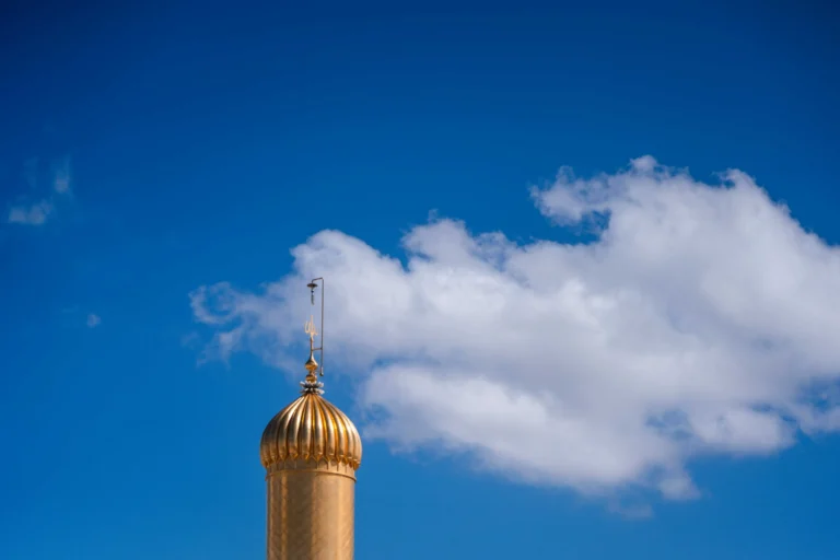 صورة 10